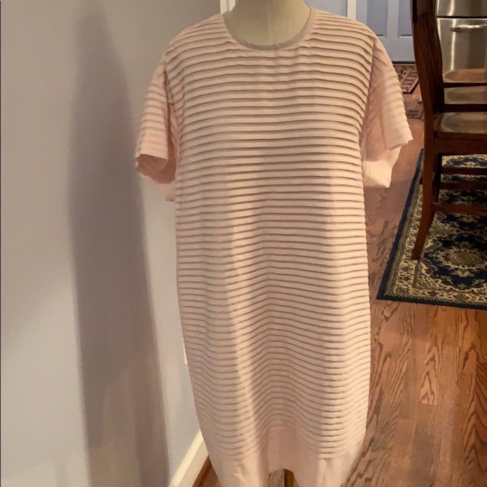 J Crew Pale pink dress!